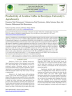 Premium Arabica Coffee Beans Roasted Whole Bean 1kg