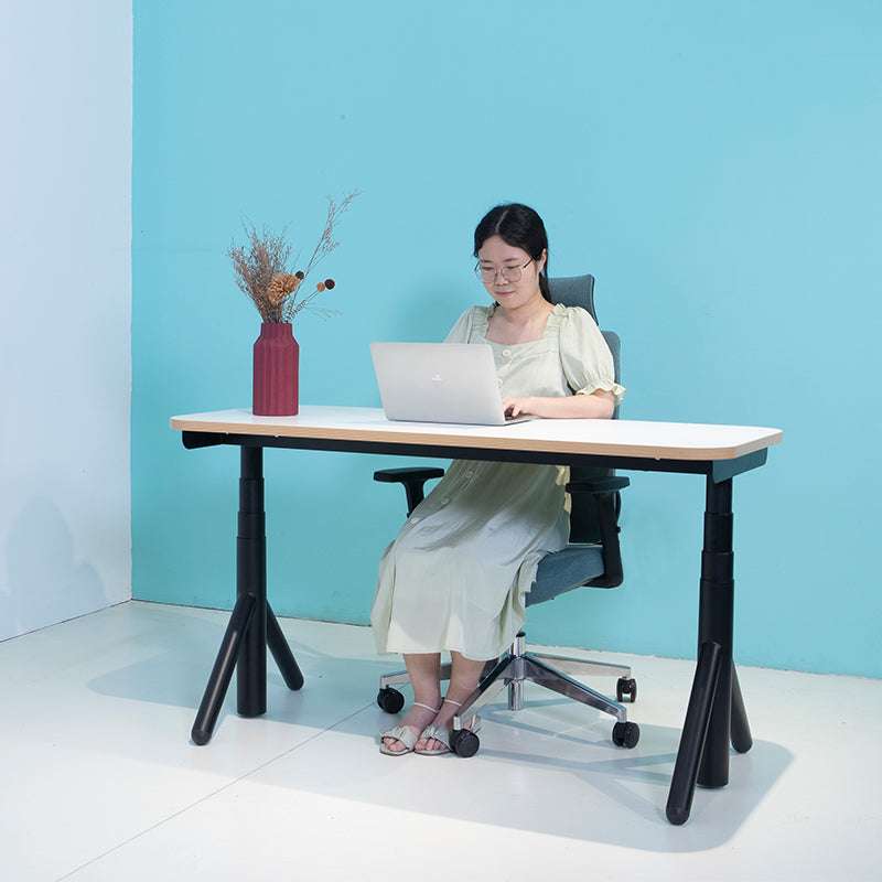 Standing Desk Electric Height Adjustable 60x30 Inch