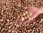 WHOLESALE High Quality Grade a Whole Dried Betel Nuts (Areca Nuts) From Vietnam-Best Price for Industrial & Eating Use